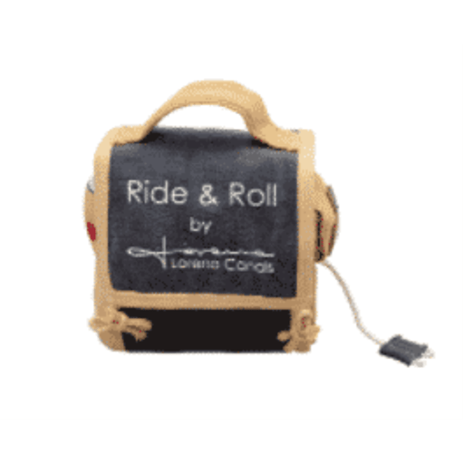 Ride & Roll Schulbus